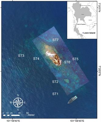 Coral Diversity at Losin Pinnacle, an Offshore Reef in the Gulf of Thailand: Toward a Future MPA